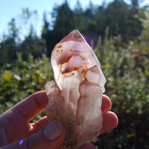 Natural Amethyst Crystal Scepter Elestial