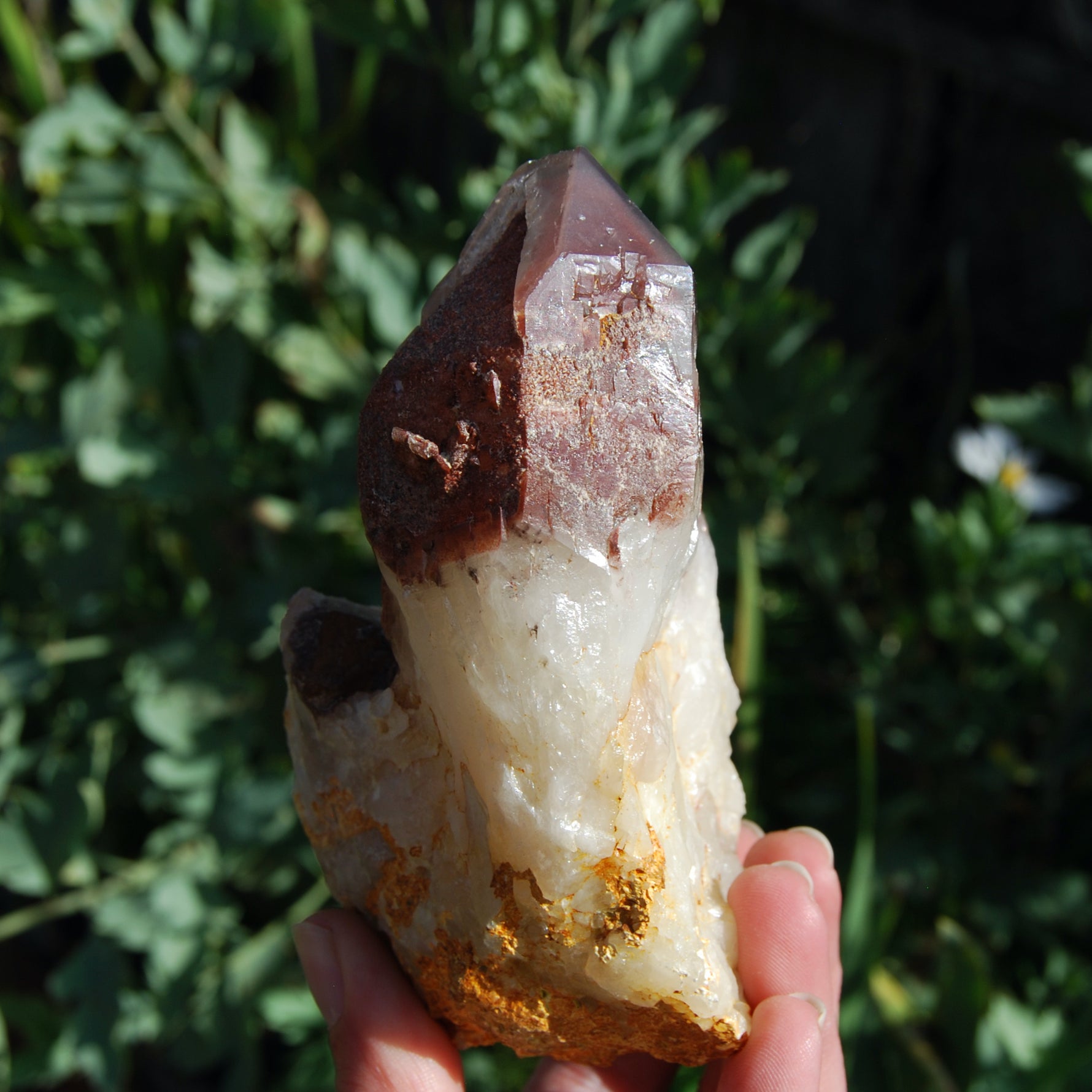 Hematoid Quartz Crystal Cathedral Point, Record Keepers, Raw Red Hematite Quartz, Zimbabwe