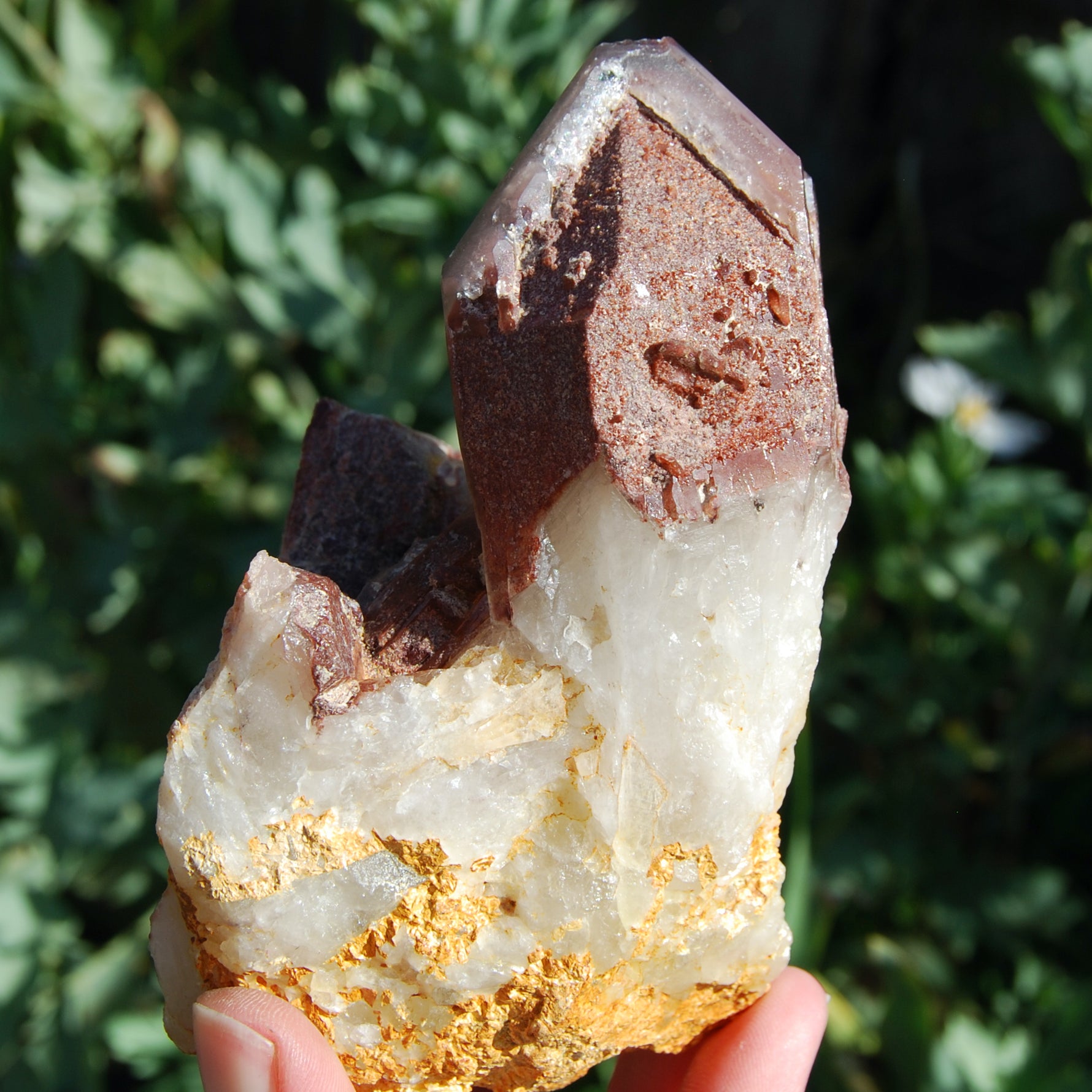 Hematoid Quartz Crystal Cathedral Point, Record Keepers, Raw Red Hematite Quartz, Zimbabwe
