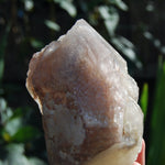 Hematoid Quartz Crystal Cathedral Point, Record Keepers, Raw Red Hematite Quartz, Zimbabwe