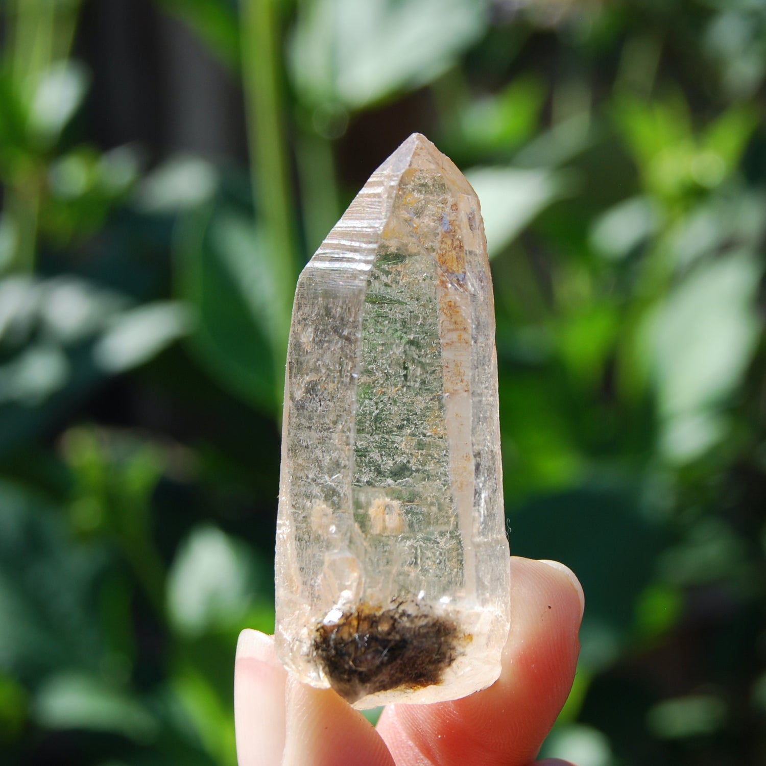 Himalayan Kullu Quartz Crystal