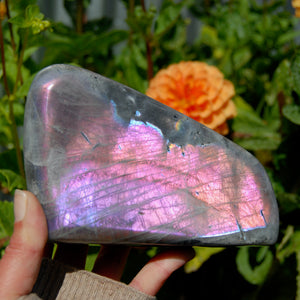3.4lb HUGE XL Purple Labradorite Crystal Freeform, Super Flashy Sunset Purple Spectrolite