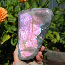 Load image into Gallery viewer, 3.4lb HUGE XL Purple Labradorite Crystal Freeform, Super Flashy Sunset Purple Spectrolite
