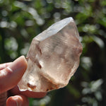 Amphibole Quartz Crystal Point