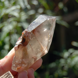 Amphibole Quartz Crystal Point