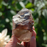 Amphibole Quartz Crystal Point