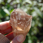 Amphibole Quartz Crystal Point