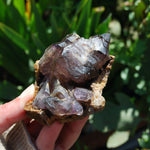 Elestial Amethyst Scepter Crystal, Smoky African Amethyst Window Quartz
