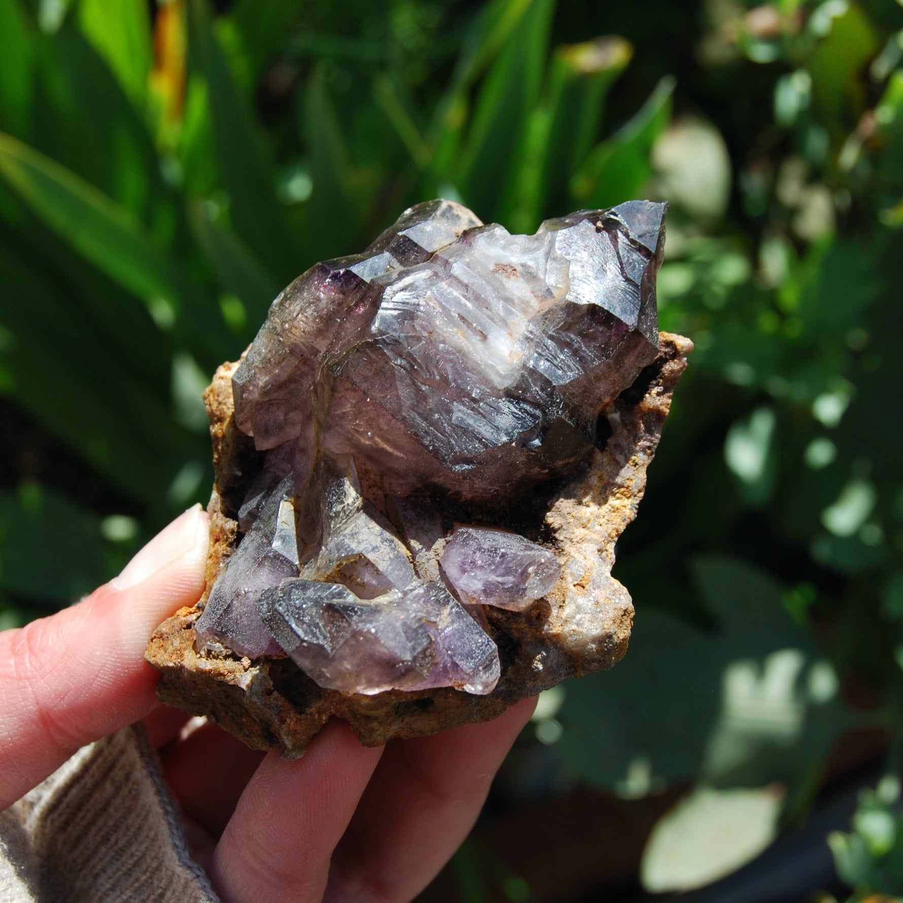Elestial Amethyst Scepter Crystal, Smoky African Amethyst Window Quartz