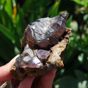 Elestial Amethyst Scepter Crystal, Smoky African Amethyst Window Quartz