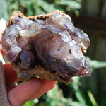 Elestial Amethyst Scepter Crystal, Smoky African Amethyst Window Quartz