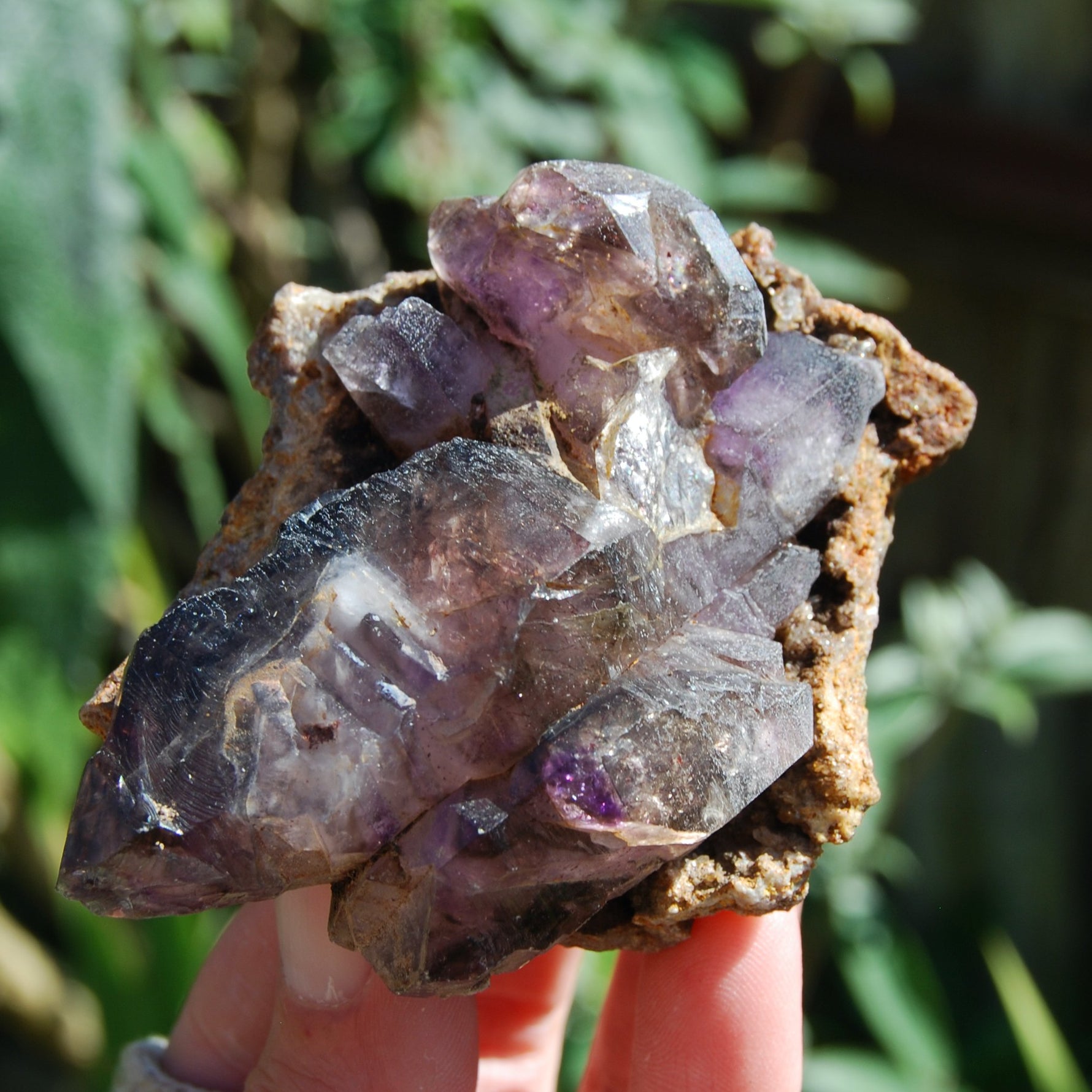 Elestial Amethyst Scepter Crystal, Smoky African Amethyst Window Quartz