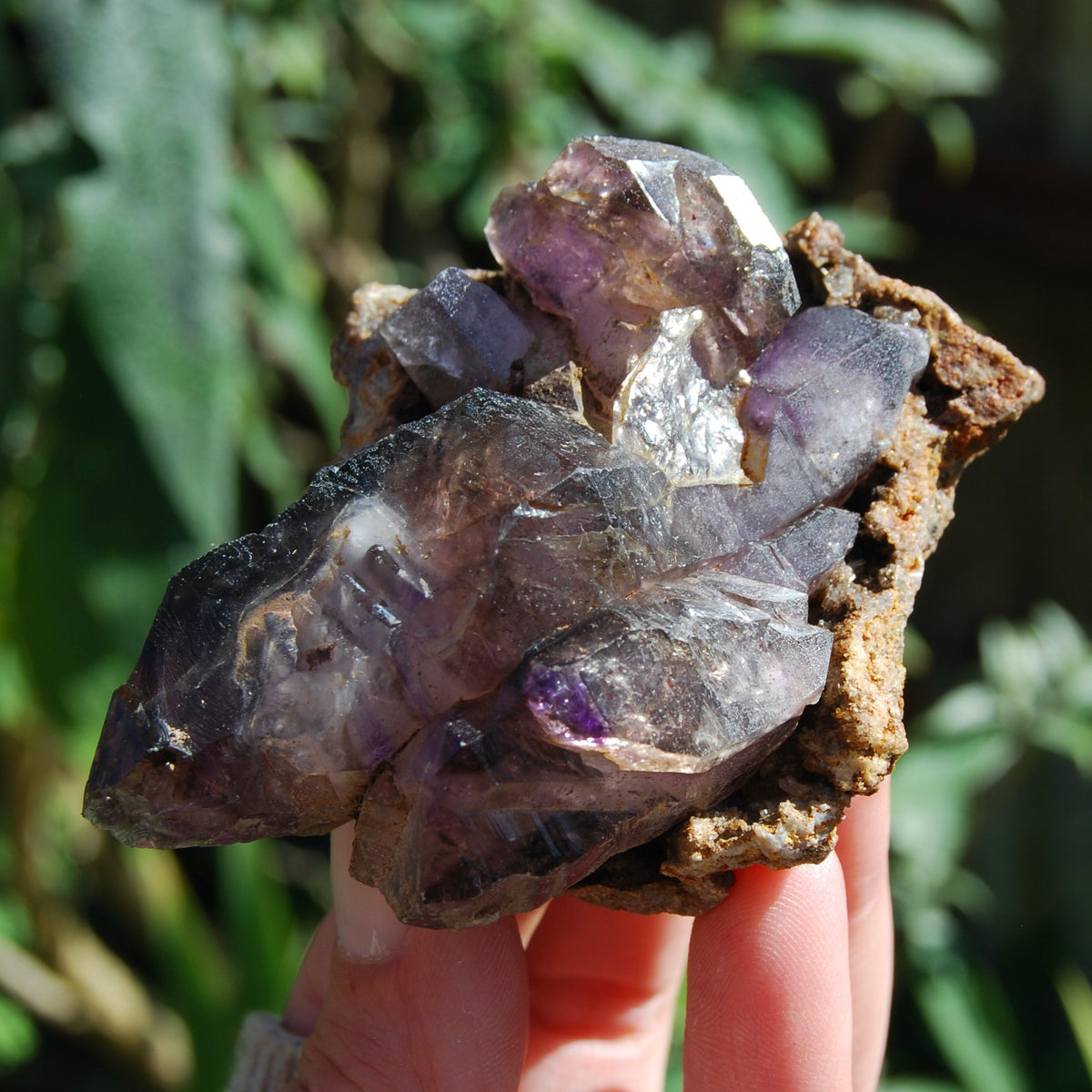 Elestial Amethyst Scepter Crystal, Smoky African Amethyst Window Quartz