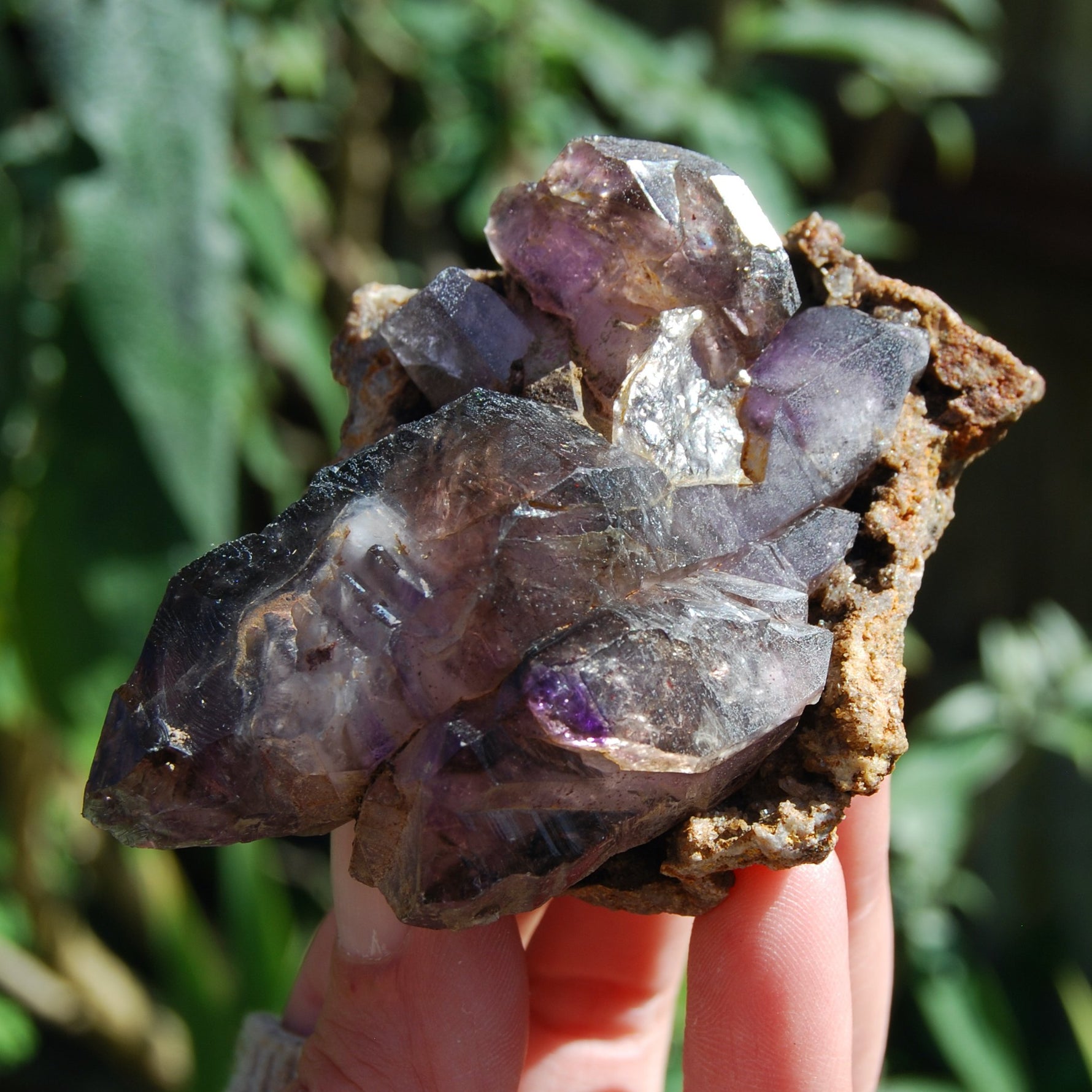 Elestial Amethyst Scepter Crystal, Smoky African Amethyst Window Quartz