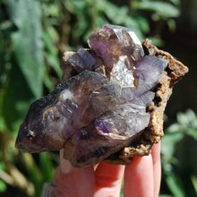 Load image into Gallery viewer, Elestial Amethyst Scepter Crystal, Smoky African Amethyst Window Quartz
