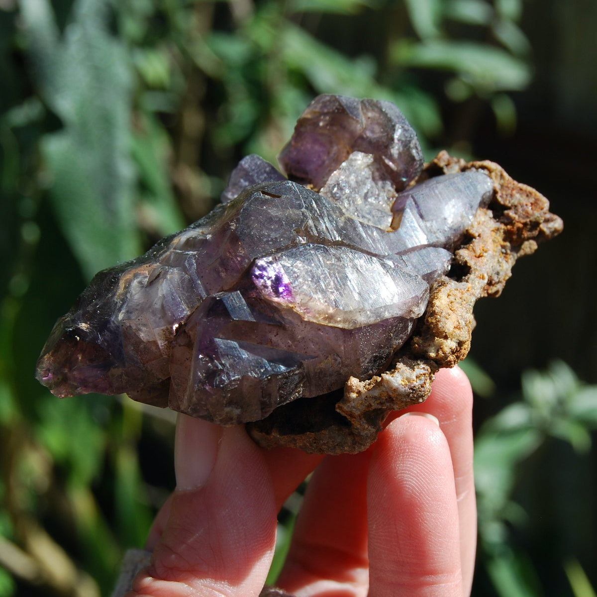 Elestial Amethyst Scepter Crystal, Smoky African Amethyst Window Quartz