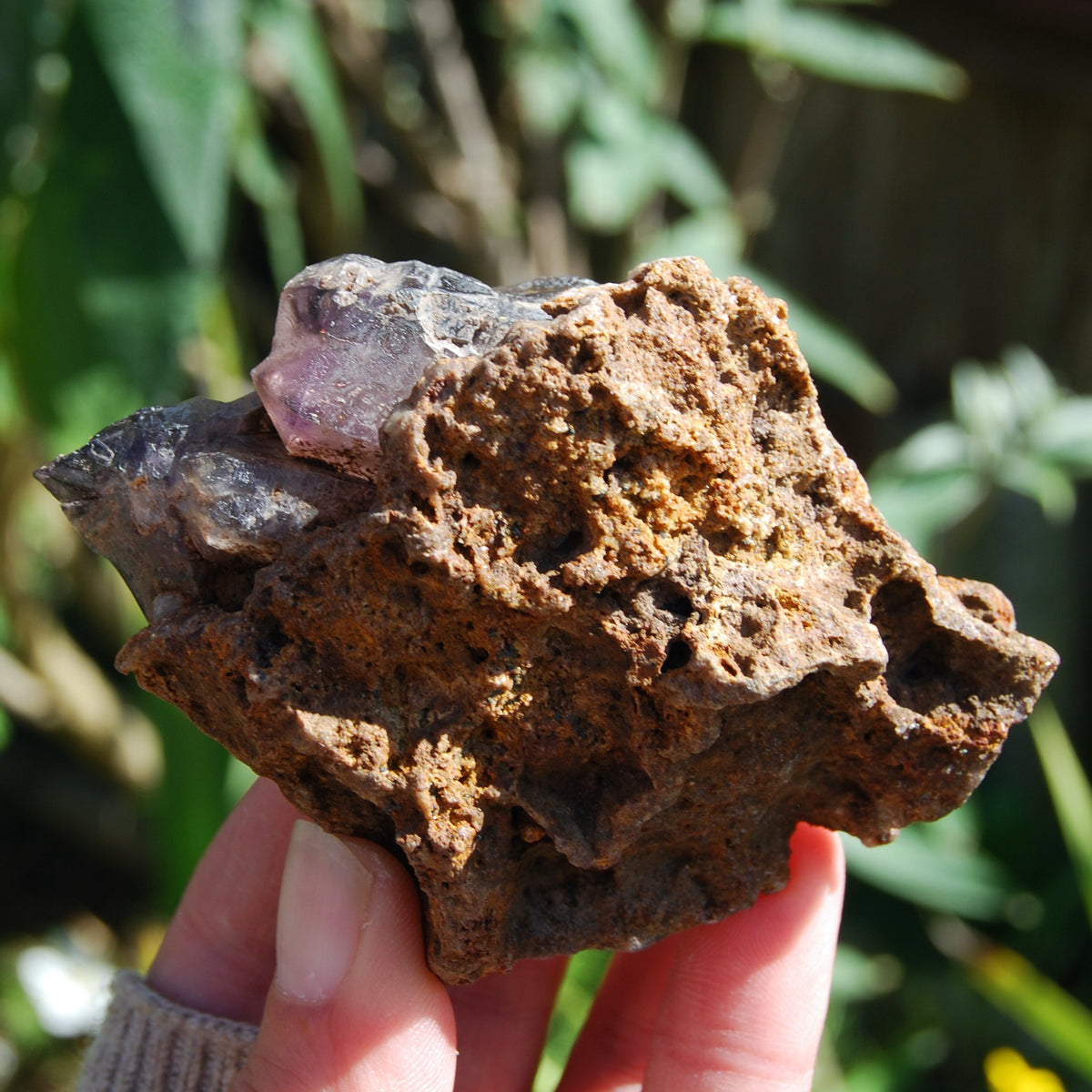 Elestial Amethyst Scepter Crystal, Smoky African Amethyst Window Quartz