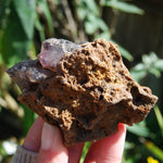 Elestial Amethyst Scepter Crystal, Smoky African Amethyst Window Quartz
