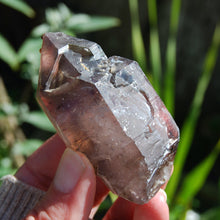 Load image into Gallery viewer, Elestial Amethyst Scepter Crystal, Smoky African Amethyst Window Quartz

