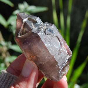 Elestial Amethyst Scepter Crystal, Smoky African Amethyst Window Quartz