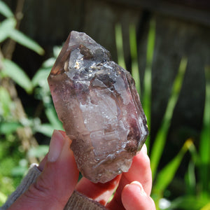 Elestial Amethyst Scepter Crystal, Smoky African Amethyst Window Quartz