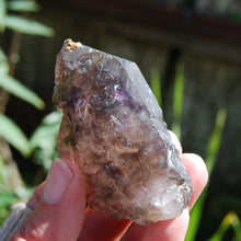 Load image into Gallery viewer, Elestial Amethyst Scepter Crystal, Smoky African Amethyst Window Quartz
