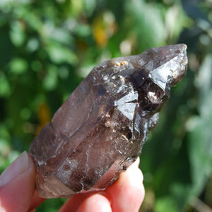 Elestial Amethyst Scepter Crystal, Smoky African Amethyst Window Quartz