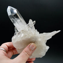 Load image into Gallery viewer, STUNNING Starburst Lemurian Silver Quartz Crystal Starbrary Cluster, Isis Face Channeler Record Keepers Optical Corinto Quartz, Brazil
