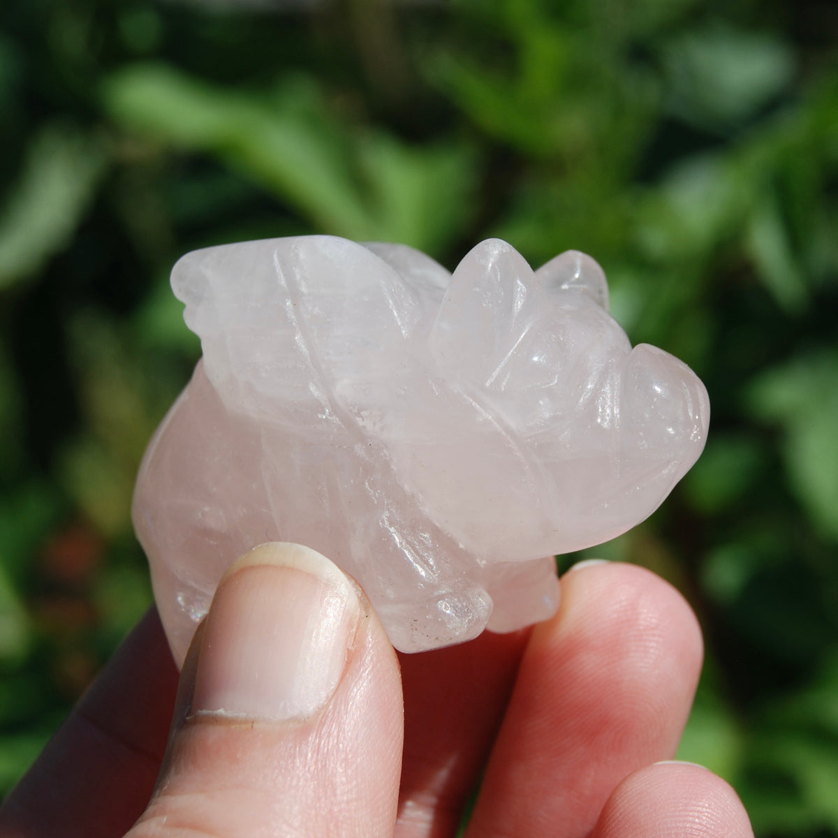 Rose Quartz Carved Crystal Flying Pig