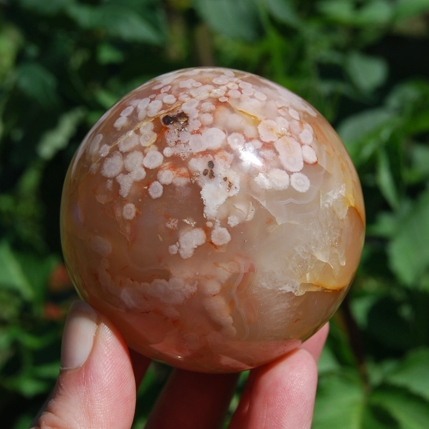 Sakura Flower Agate Crystal Sphere