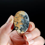 Maligano Jasper Cabochon Oval, Indonesia
