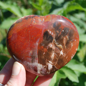 Petrified Wood Crystal Heart Shaped Palm Stone