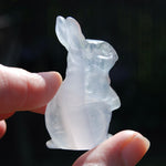 Yttrium Fluorite Carved Crystal Rabbit