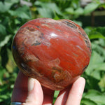 Petrified Wood Crystal Heart Shaped Palm Stone