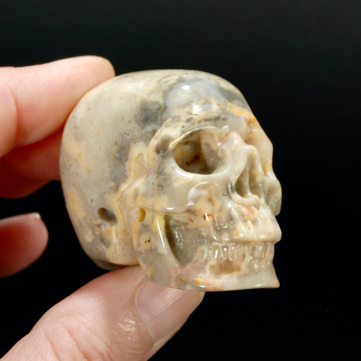 2in Laguna Lace Agate Crystal Skull, Realistic Carved Skull