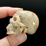 2in Laguna Lace Agate Crystal Skull, Realistic Carved Skull