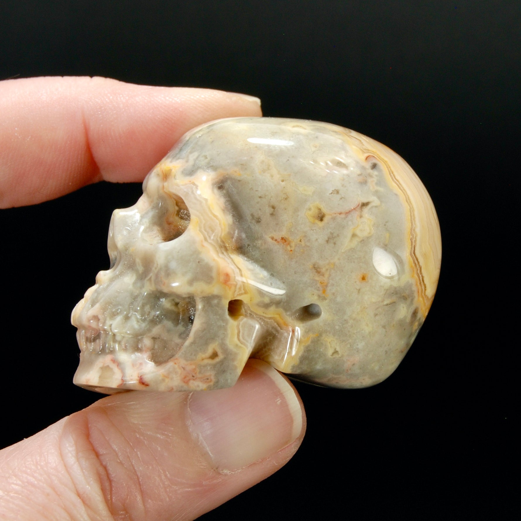 2in Laguna Lace Agate Crystal Skull, Realistic Carved Skull