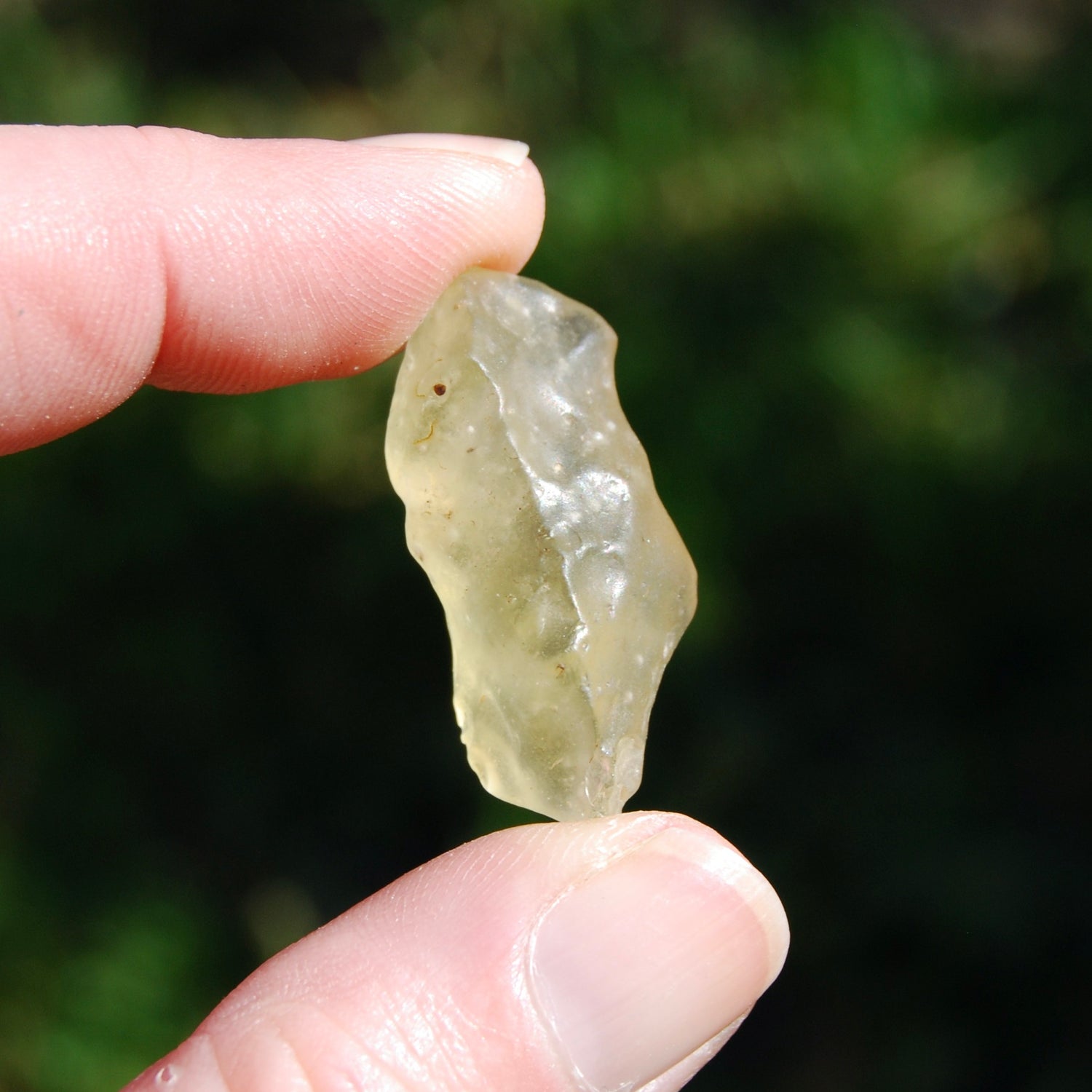 Genuine Libyan Desert Glass Specimen, Libyan Gold Tektite