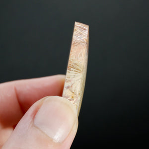 Fossilized Coral Cabochon, Intricate Fossil Oval Cab