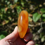 Carnelian Agate Crystal Heart Palm Stone