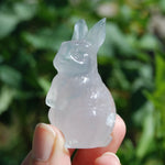 Yttrium Fluorite Carved Crystal Rabbit