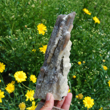 Load image into Gallery viewer, Fossil Bamboo, Large Fossilized Bamboo, Agatized bamboo from Indonesia
