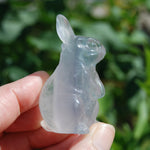 Yttrium Fluorite Carved Crystal Rabbit