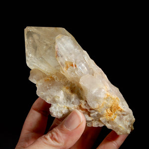 Large Natural Genuine Kundalini Citrine Crystal Cluster, Congo