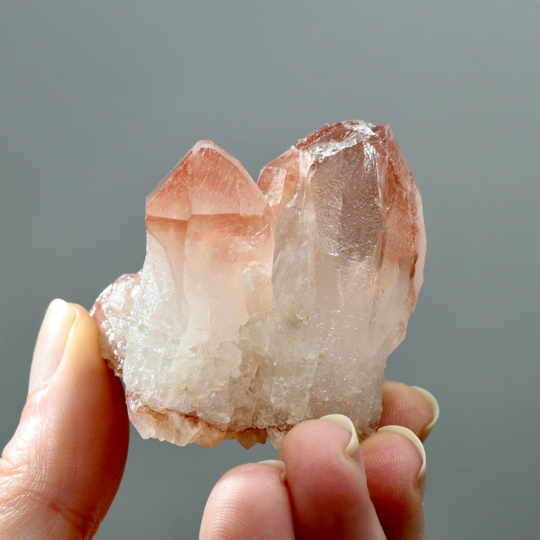ET Strawberry Pink Scarlet Temple Lemurian Quartz Crystal Cluster, Serra do Cabral, Brazil