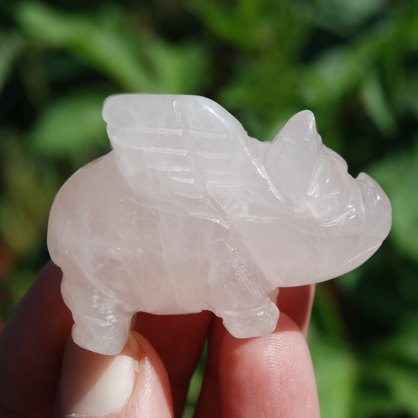 Rose Quartz Carved Crystal Flying Pig