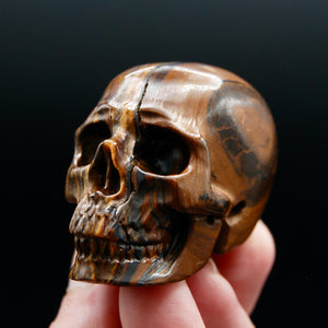 Tiger's Iron Carved Crystal Skull