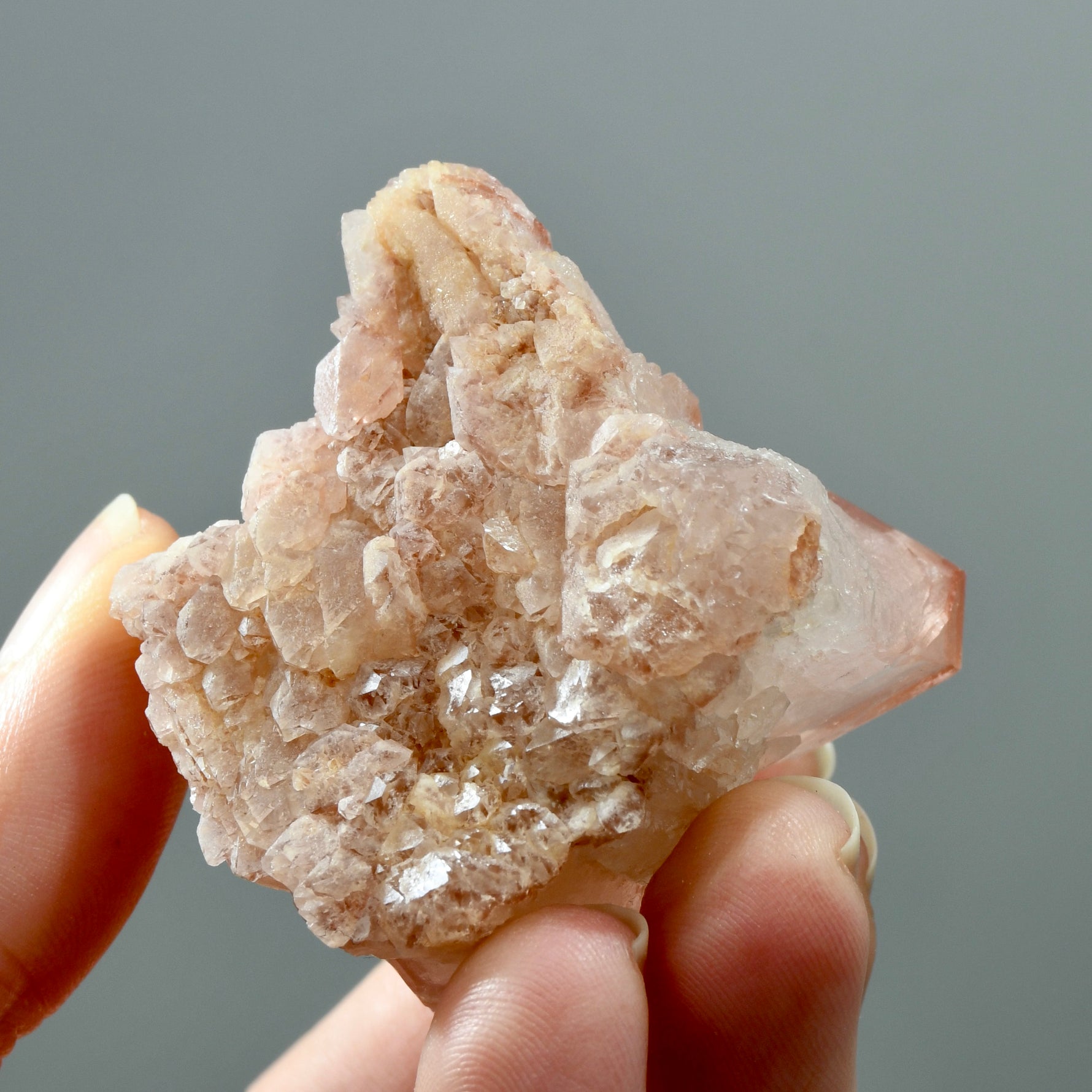 ET Strawberry Pink Scarlet Temple Lemurian Quartz Crystal Cluster, Serra do Cabral, Brazil