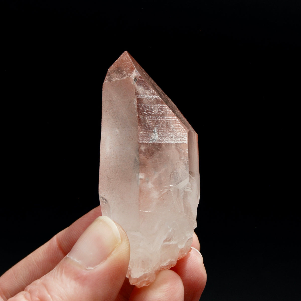 Strawberry Pink Lemurian Seed Quartz Crystal Master Starbrary, Serra do Cabral, Brazil