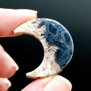 Fossilized Palm Root Crescent Moon Cabochon